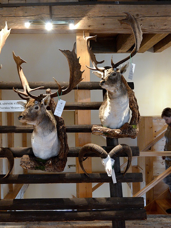 Chovateľská prehliadka trofejí 2016