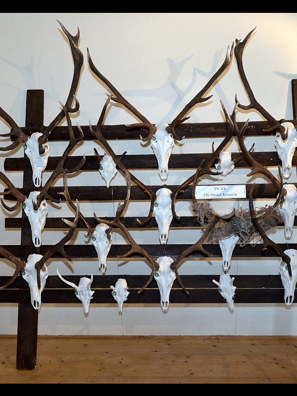 Chovateľská prehliadka trofejí 2017