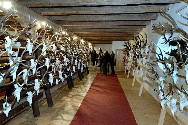 Chovateľská prehliadka trofejí 2018