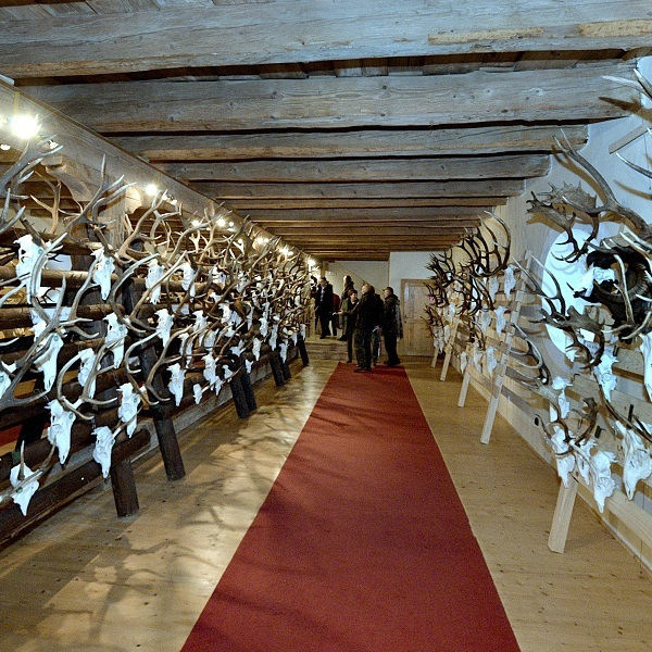 Chovateľská prehliadka trofejí 2018