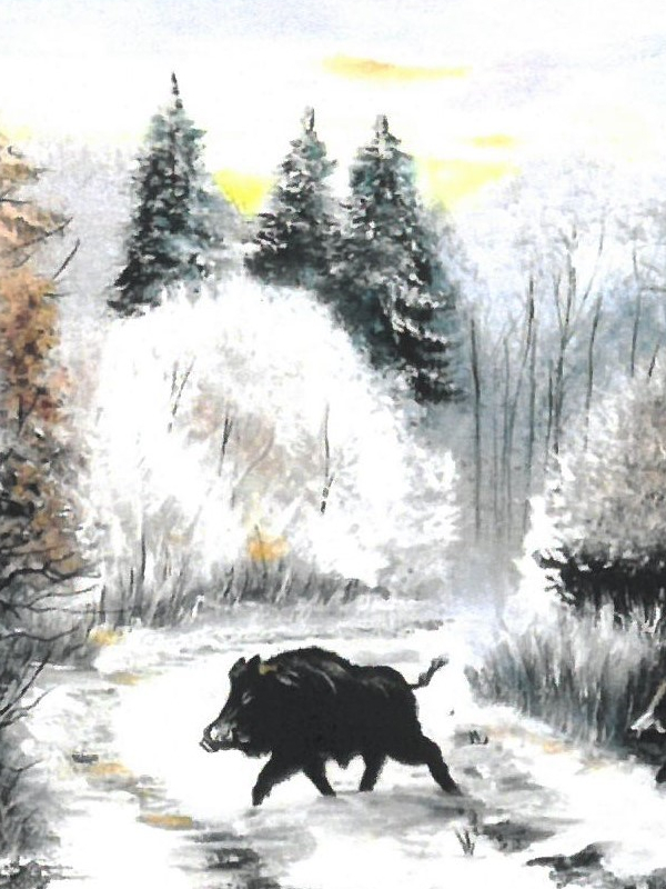 Chovateľská prehliadka trofejí 2019