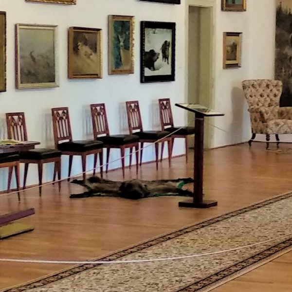 Medzinárodný deň múzeí 2021