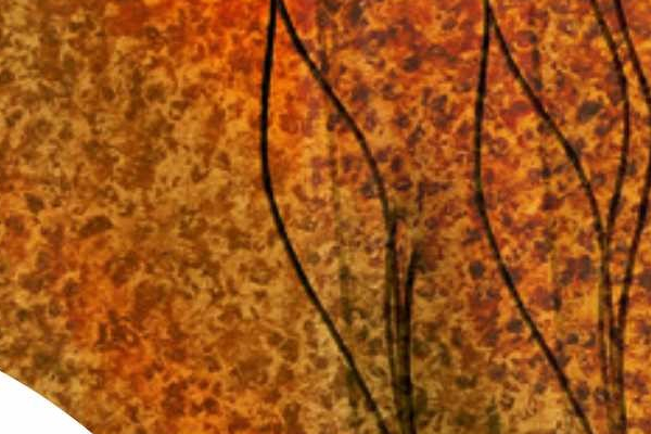 Najkrajšia dovolenková fotografia 2020