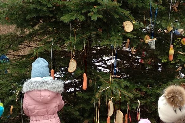 Vianoce pre zvieratká 2019