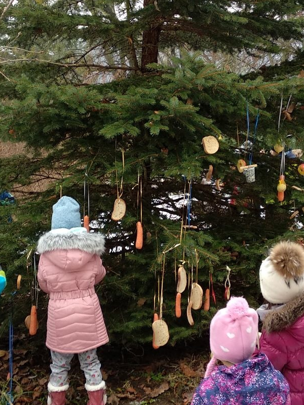 Vianoce pre zvieratká 2019