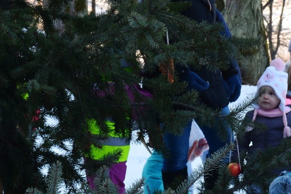 Vianoce pre zvieratká 2017