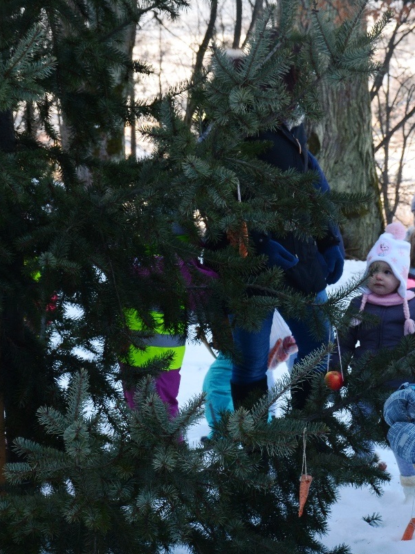 Vianoce pre zvieratká 2017
